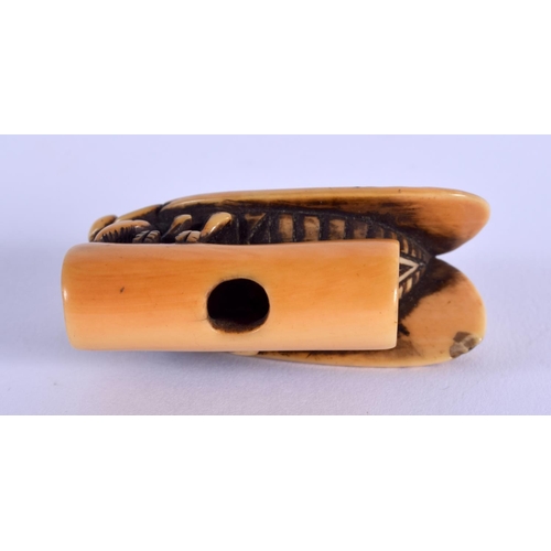 1709 - A LOVELY 18TH CENTURY JAPANESE MEIJI PERIOD CARVED IVORY NETSUKE modelled as a fly. 4.5 cm x 2.5 cm.