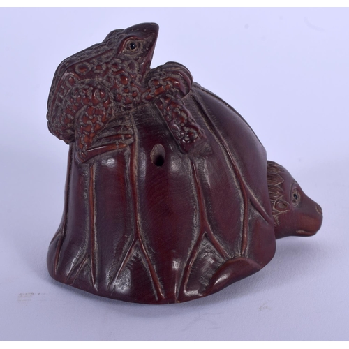 1775 - A JAPANESE CARVED BOXWOOD TOAD BOX AND COVER. 7 cm x 5 cm.