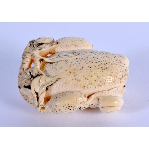 1930 - AN EARLY 20TH CENTURY JAPANESE MEIJI PERIOD CARVED IVORY NETSUKE formed as a snail with fruit. 3.5 c... 