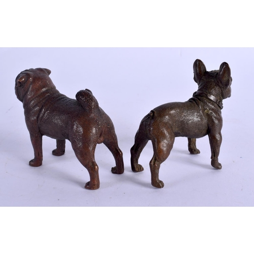 2144 - A PAIR OF CHINESE BRONZE FIGURES OF BULLDOGS 20th Century. 8 cm x 5 cm.