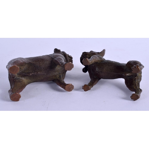 2144 - A PAIR OF CHINESE BRONZE FIGURES OF BULLDOGS 20th Century. 8 cm x 5 cm.