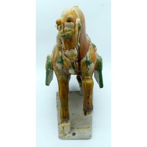 2536 - A large Chinese Tang Horse 53 x 42 cm.