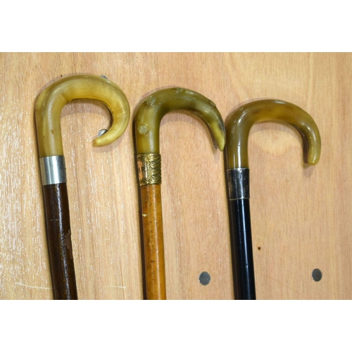 2552 - Three horn handled walking canes 94 cm (3).