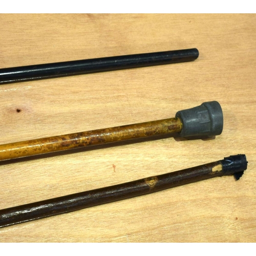 2552 - Three horn handled walking canes 94 cm (3).