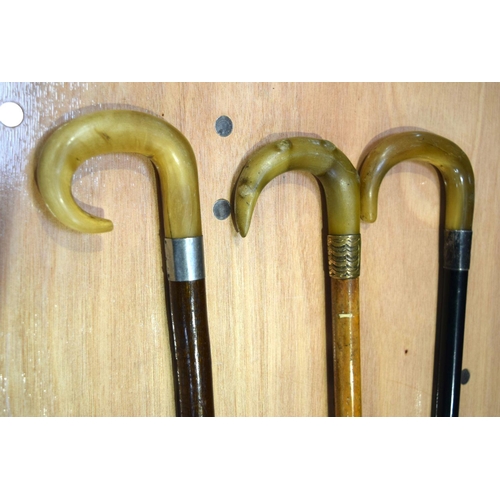 2552 - Three horn handled walking canes 94 cm (3).