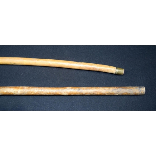 2651 - A carved Rhino horn handled walking stick together with another possibly Rhino horn. 92cm (2)