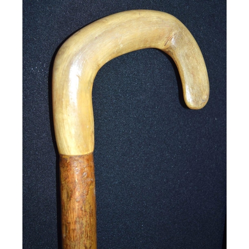 2651 - A carved Rhino horn handled walking stick together with another possibly Rhino horn. 92cm (2)