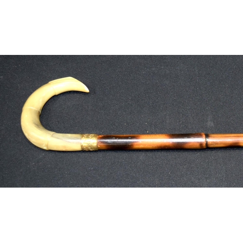 2653 - A Buffalo horn handled cane walking stick with gilded banding 94cm