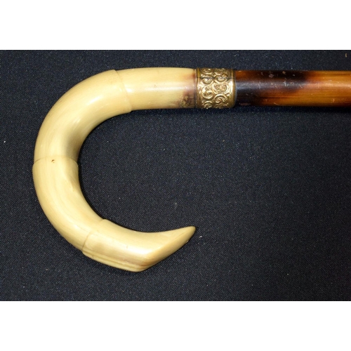 2653 - A Buffalo horn handled cane walking stick with gilded banding 94cm