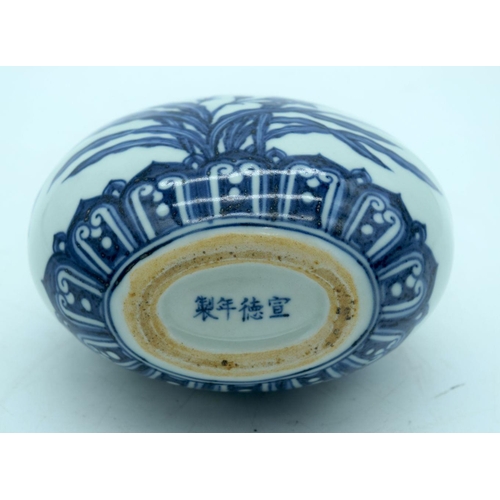 2670 - A small Chinese  blue and white moon flask decorated with butterfly and  foliage. 19cm.