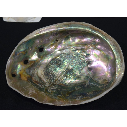 2673 - A Abalone shell, clam shells and a pottery snake dish 20cm (8)