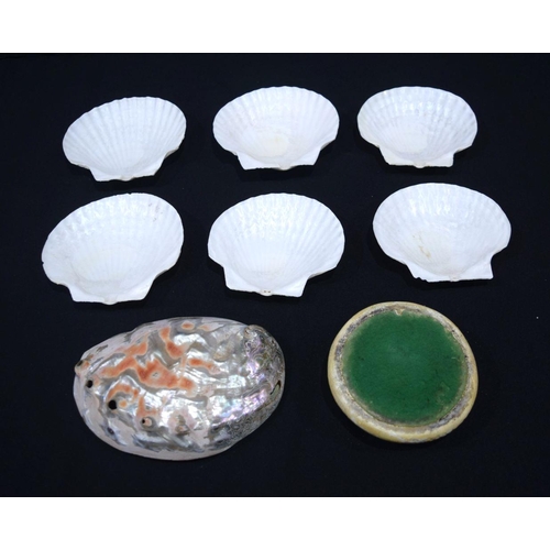 2673 - A Abalone shell, clam shells and a pottery snake dish 20cm (8)