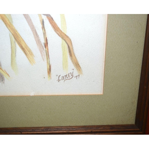 2745 - Two framed watercolours of ducks by Laney Layton 40 x 30 cm (2).