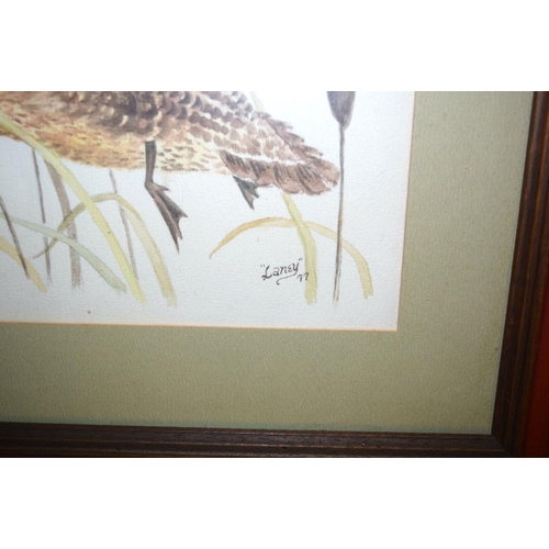 2745 - Two framed watercolours of ducks by Laney Layton 40 x 30 cm (2).