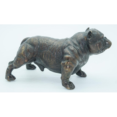 2768 - A Bronze bull dog 18.5cm x 10cm.