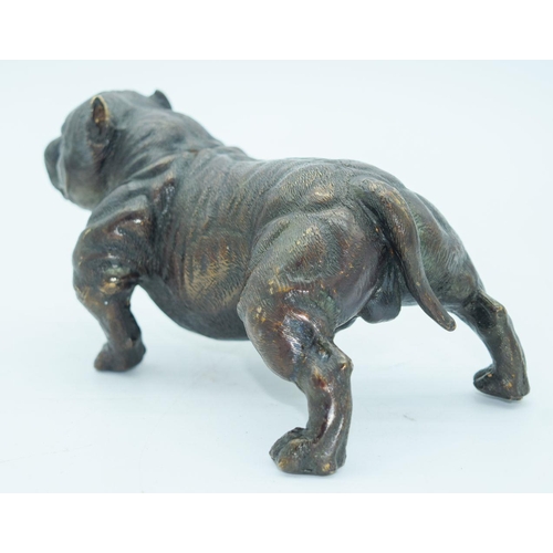 2768 - A Bronze bull dog 18.5cm x 10cm.