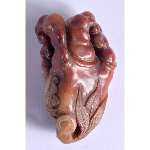 904 - A CHINESE CARVED SOAPSTONE FRUITING POD 20th Century. 6 cm x 3 cm.