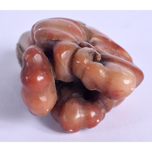 904 - A CHINESE CARVED SOAPSTONE FRUITING POD 20th Century. 6 cm x 3 cm.