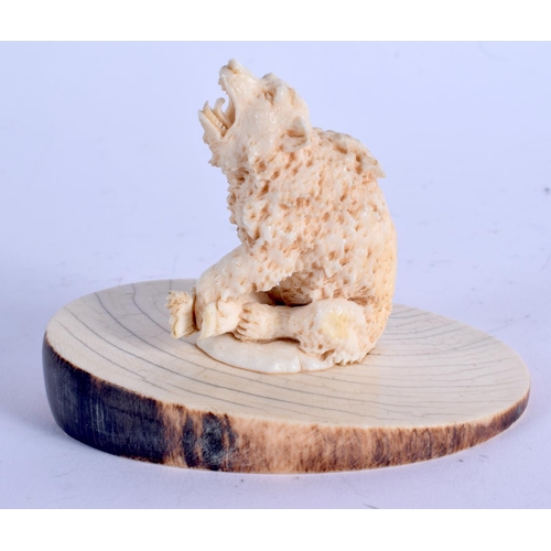 963 - A 19TH CENTURY EUROPEAN CARVED IVORY BEAR modelled with a honeycomb body. 9 cm x 7 cm.