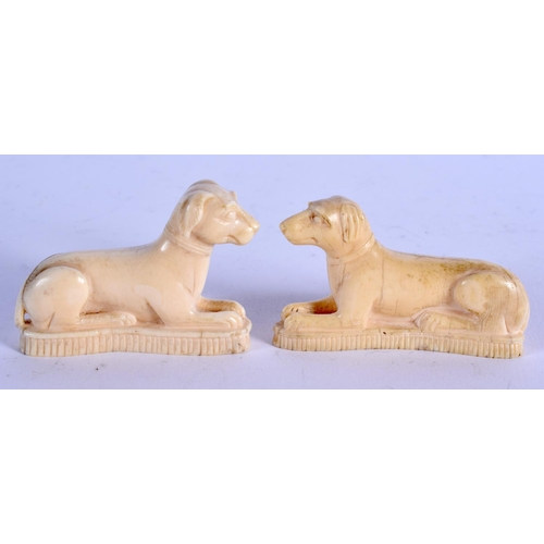 965 - A VERY RARE PAIR OF LATE 18TH CENTURY MUGHAL CARVED IVORY DOGS C1790 modelled upon shaped bases. 5 c... 