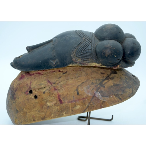 37 - AFRICAN TRIBAL BAULE KPWAN MASK, IVORY COAST. 37cm x 18cm