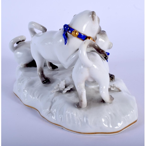 118 - A 19TH CENTURY MEISSEN PORCELAIN FIGURE OF THREE PUG DOGS modelled upon a naturalistic base. 14 cm x... 