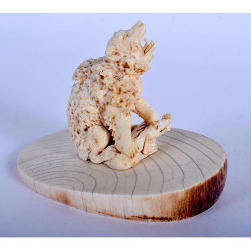 1268 - A 19TH CENTURY EUROPEAN CARVED IVORY BEAR modelled with a honeycomb body. 9 cm x 7 cm.