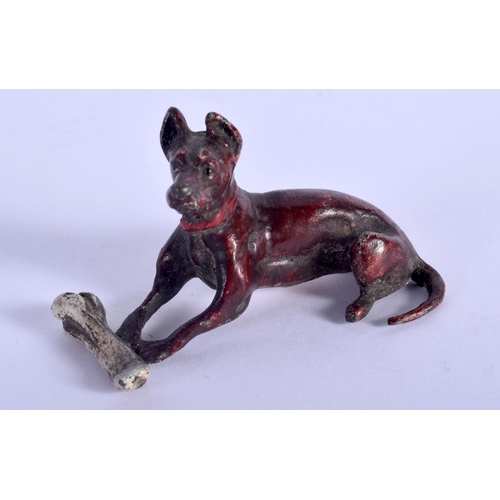 1335 - A CONTINENTAL COLD PAINTED BRONZE DOG. 6.5 cm wide.