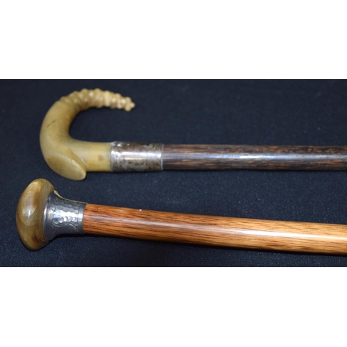 3156 - A Rhino horn handled walking cane with a silver collar together with another Rhino horn handled cane... 