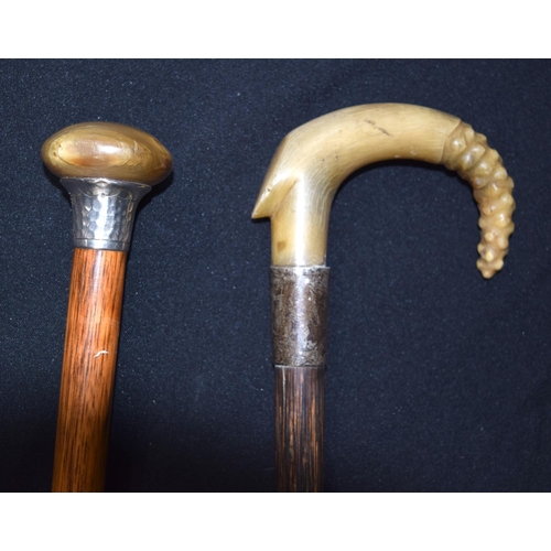 3156 - A Rhino horn handled walking cane with a silver collar together with another Rhino horn handled cane... 