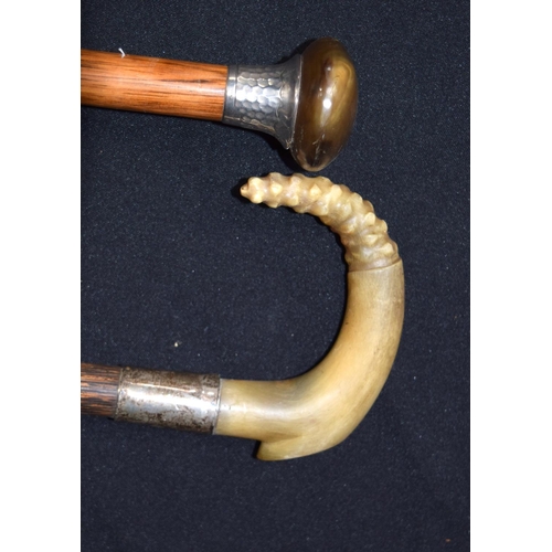 3156 - A Rhino horn handled walking cane with a silver collar together with another Rhino horn handled cane... 