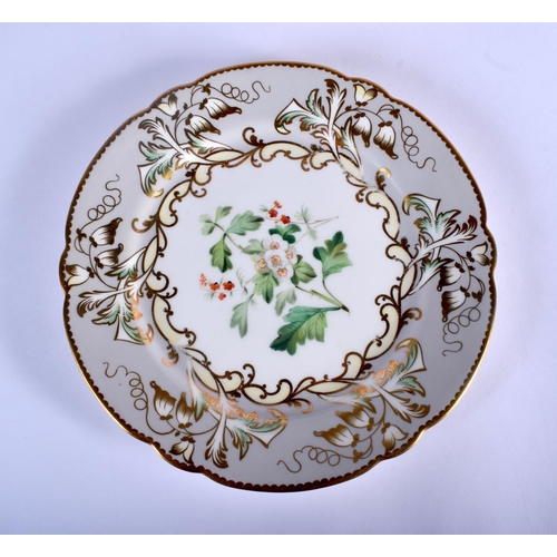 318 - English porcelain dessert, probably Samuel Alcock pattern 3/8084 painted with flowers, containing tw... 