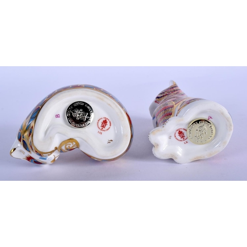 396 - Royal Crown Derby paperweight of a  seated kitten and a sleeping kitten.  8.5cm high  (2)