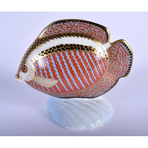 398 - Royal Crown Derby paperweight of a gourami.  14.5cm long