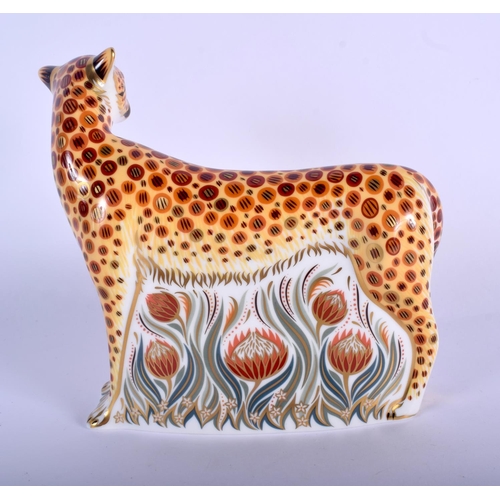 411 - Royal Crown Derby paperweight of a cheetah .  13cm high