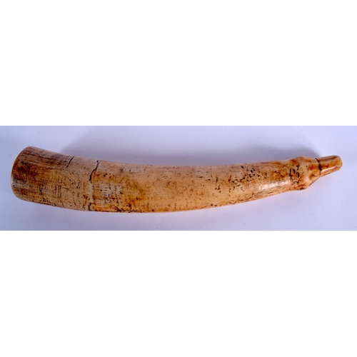 471 - AN 18TH/19TH CENTURY CONTINENTAL CARVED IVORY OLIPHANT of plain form and of good colour. 40 cm long.