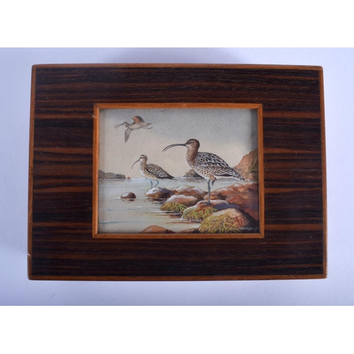 505 - A RARE ART DECO DUNHILL COROMANDEL WATERCOLOUR INSET HUMIDOR by G Diakoff, painted with birds by the... 