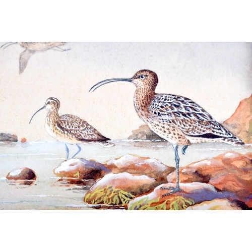 505 - A RARE ART DECO DUNHILL COROMANDEL WATERCOLOUR INSET HUMIDOR by G Diakoff, painted with birds by the... 