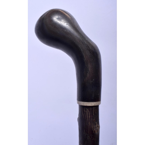 639 - A 19TH CENTURY CARVED BUFFALO HORN HANDLED GNARLED WALKING CANE of naturalistic form. 88 cm long.