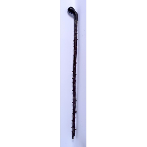 639 - A 19TH CENTURY CARVED BUFFALO HORN HANDLED GNARLED WALKING CANE of naturalistic form. 88 cm long.