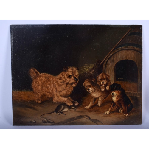 646 - Edwin Loder (1827-1885) British, Pair of Oil on boards, hounds within interiors. 30 cm x 24 cm.