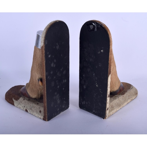 679 - A PAIR OF 19TH CENTURY TAXIDERMY ANIMAL FOOT BOOK ENDS. 24 cm x 15 cm.