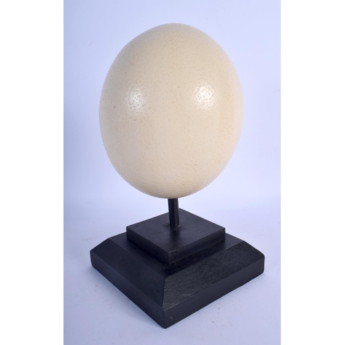 730 - AN OSTRICH EGG upon an ebonised base. 15 cm x 8 cm.