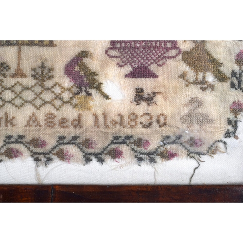 733 - AN EARLY 19TH CENTURY ENGLISH FRAMED SAMPLER by Eliza Bottomley C1830. Sampler 42 cm x 32 cm.