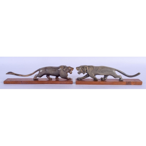 756 - A RARE PAIR OF 19TH CENTURY CONTINENTAL CARVED RHINOCEROS HORN FIGURE OF A ROAMING LION upon a woode... 