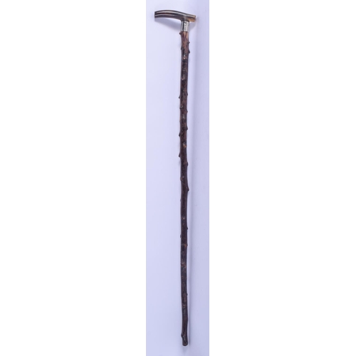 790 - A 19TH CENTURY CONTINENTAL CARVED RHINOCEROS HORN HANDLED WALKING CANE. 88 cm long.