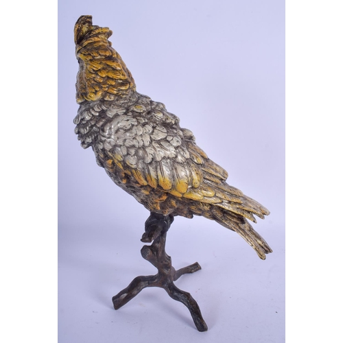 805 - A CONTEMPORARY CONTINENTAL COLD PAINTED BRONZE BIRD. 29 cm x 21 cm.