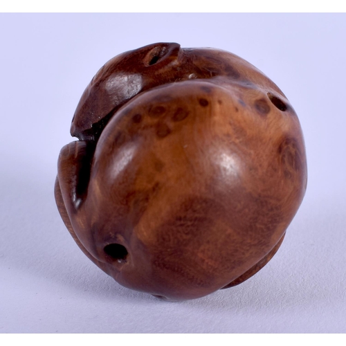 1526 - A JAPANESE TAISHO PERIOD CARVED BOXWOOD RAT NETSUKE of cOiled form. 2.75 cm wide.