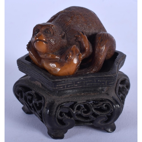 1533 - AN EARLY 20TH CENTURY JAPANESE MEIJI PERIOD CARVED TAGUA NUT OKIMONO modelled as a monkey clutching ... 