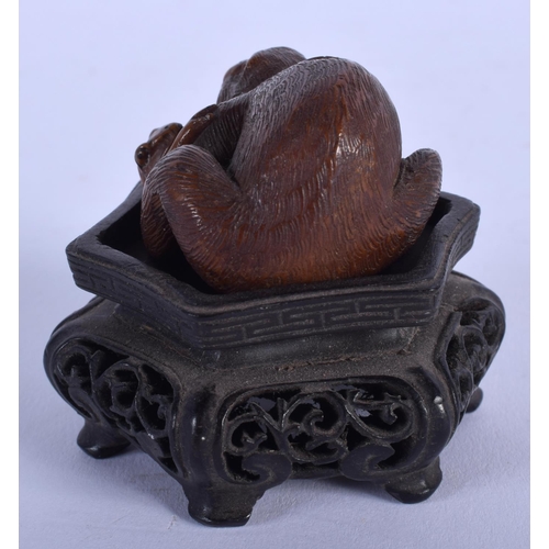 1533 - AN EARLY 20TH CENTURY JAPANESE MEIJI PERIOD CARVED TAGUA NUT OKIMONO modelled as a monkey clutching ... 